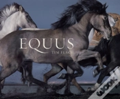 Capa do artigo Equus