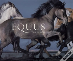 Capa do artigo Equus