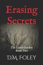 Erasing Secrets - Preview