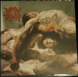 Capa do artigo Erebos - Vinil