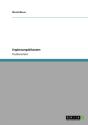 Erganzungsbilanzen - Preview