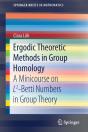 Ergodic Theoretic Methods In Group Homology - Preview