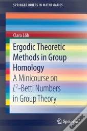 Ergodic Theoretic Methods In Group Homology