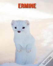 Ermine