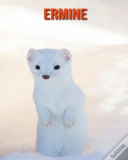 Capa do artigo Ermine