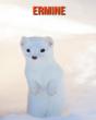 Ermine - Preview