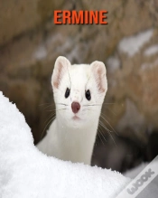Capa do artigo Ermine