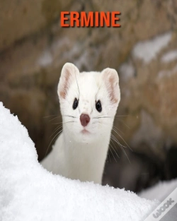 Capa do artigo Ermine