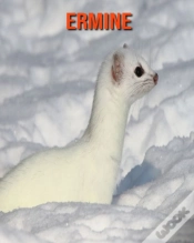 Capa do artigo Ermine