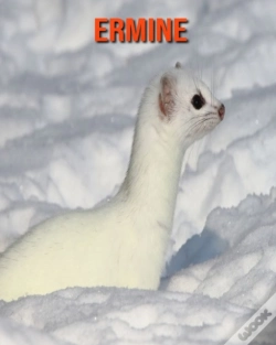 Capa do artigo Ermine