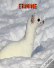 Ermine