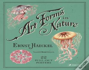 Ernst Haeckel: Art Forms In Nature: 22 Pull-Out Posters