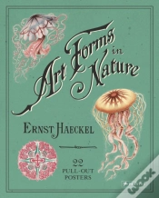 Capa do artigo Ernst Haeckel: Art Forms In Nature: 22 Pull-Out Posters