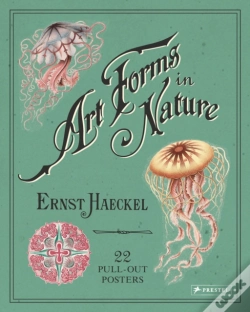 Capa do artigo Ernst Haeckel: Art Forms In Nature: 22 Pull-Out Posters