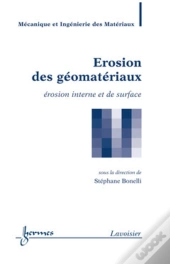 Érosion Des Géomatériaux : Érosion Interne Et De Surface : Érosion Interne Et De Surface