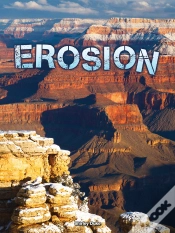 Capa do artigo Erosion