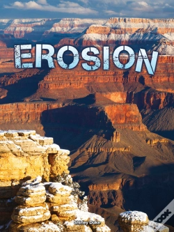 Capa do artigo Erosion