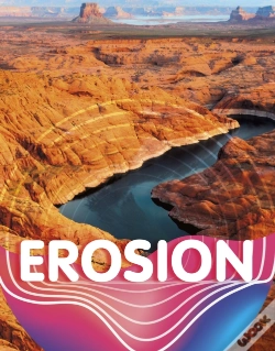 Capa do artigo Erosion