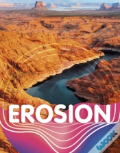 Capa do artigo Erosion