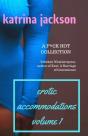 Erotic Accommodations, Volume 1 - Preview