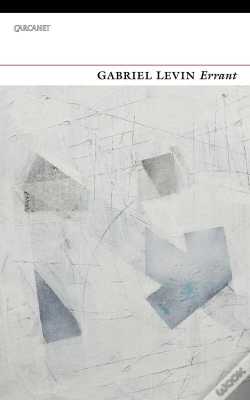 Capa do artigo Errant