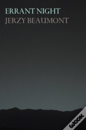 Capa do artigo Errant Night