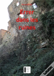 Capa do artigo Errer Dans Les Ruines