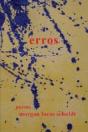 Erros - Preview