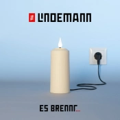 Capa do artigo Es Brennt ... - CD