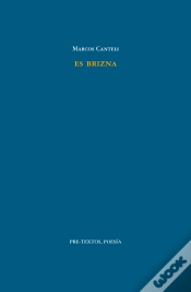 Capa do artigo Es Brizna