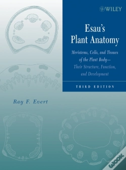 Capa do artigo Esau'S Plant Anatomy