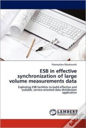 Capa do artigo Esb In Effective Synchronization Of Large Volume Measurements Data