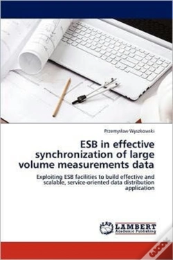 Capa do artigo Esb In Effective Synchronization Of Large Volume Measurements Data