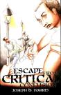 Escape From Critical Confusion - Preview