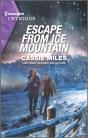 Escape From Ice Mountain - Preview