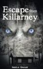 Escape From Killarney - Preview
