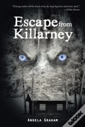 Capa do artigo Escape From Killarney