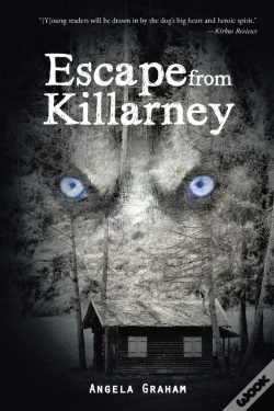 Capa do artigo Escape From Killarney