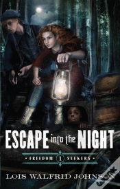 Capa do artigo Escape Into The Night