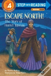Capa do artigo Escape North!