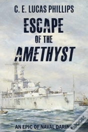 Capa do artigo Escape Of The Amethyst