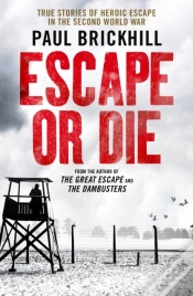 Capa do artigo Escape Or Die