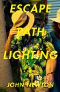 Escape Path Lighting - Preview