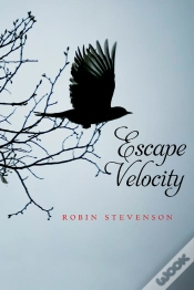 Capa do artigo Escape Velocity