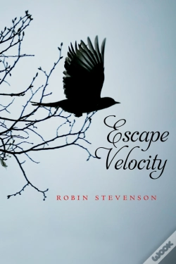 Capa do artigo Escape Velocity