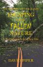 Escaping Our Fallen Nature - Preview