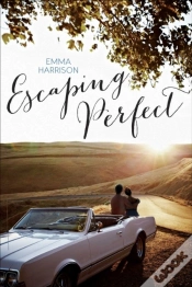 Capa do artigo Escaping Perfect