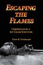 Escaping The Flames - Preview