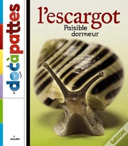 Capa do artigo Escargot