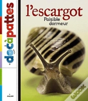 Capa do artigo Escargot